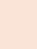 BOURJOIS Paris Healthy Mix Clean & Vegan Naturally Radiant Powder 10 ml - 10ml - Pudr