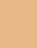 Clarins Everlasting Foundation 30 ml - 30ml - Makeup