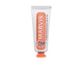 Marvis Ginger Mint 25 ml - 25ml - Zubní pasta