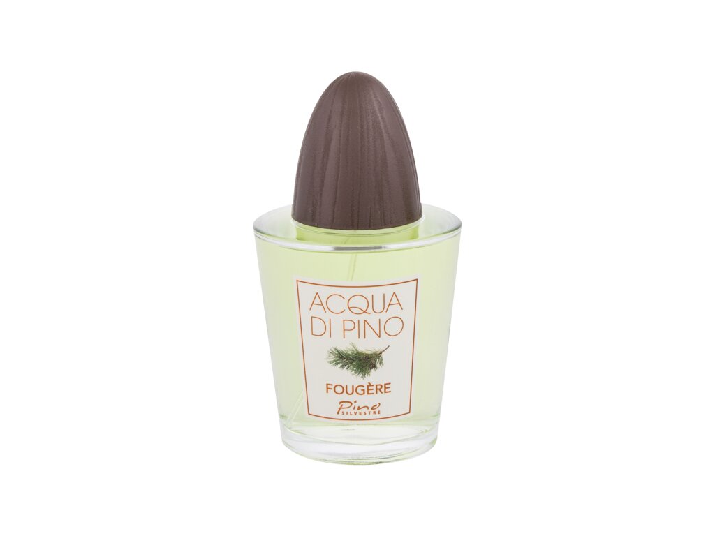 Pino Silvestre Acqua Di Fougére 125 ml - 125ml - Toaletní voda