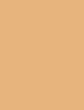 Shiseido Synchro Skin Self-Refreshing Custom Finish Powder Foundation 9 ml - 9ml - Makeup